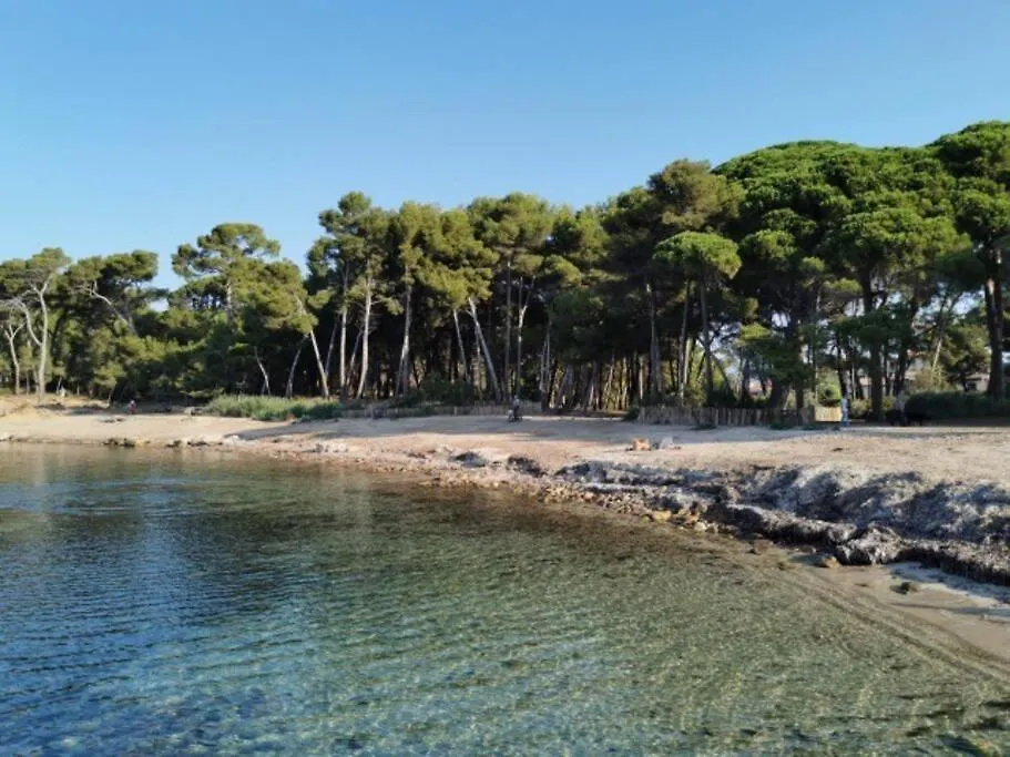 200 M De La Plage Jardin Calme Saint-Mandrier-sur-Mer