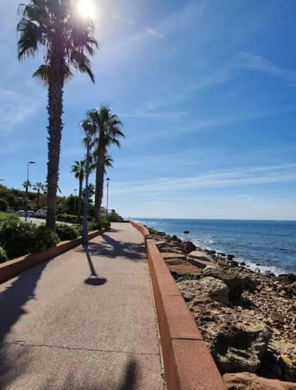 200 M De La Plage Jardin Calme Saint-Mandrier-sur-Mer Apartment